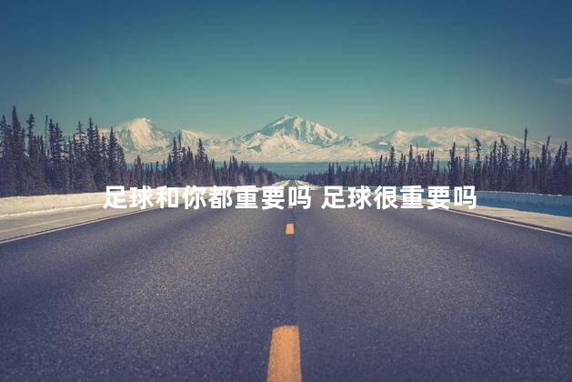 足球和你都重要吗 足球很重要吗
